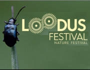 loodusfestival-site-logo.jpg